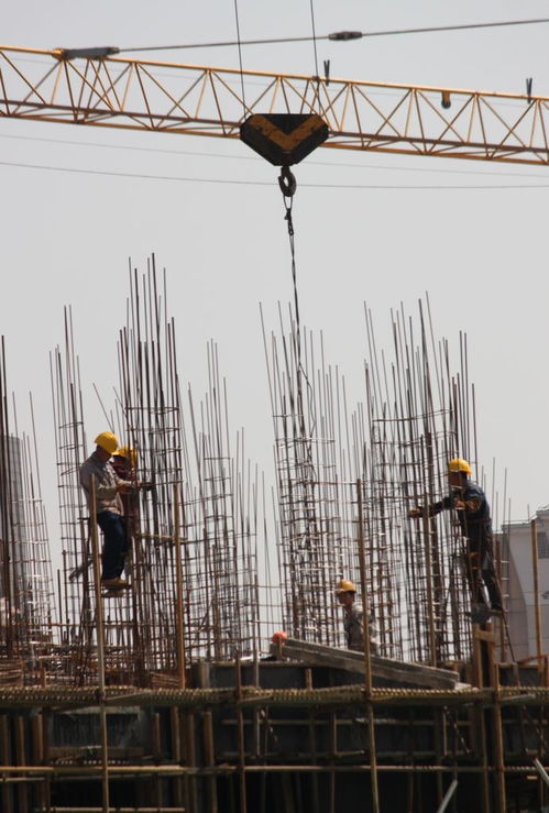 惠州市附著式升降腳手架子工證考試指南 報名、考試內容及查詢方式
